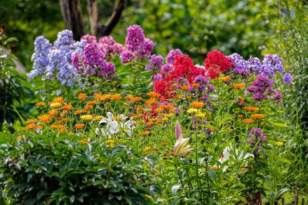 Grundstück Fröndenberg - Nutzung als Ziergarten