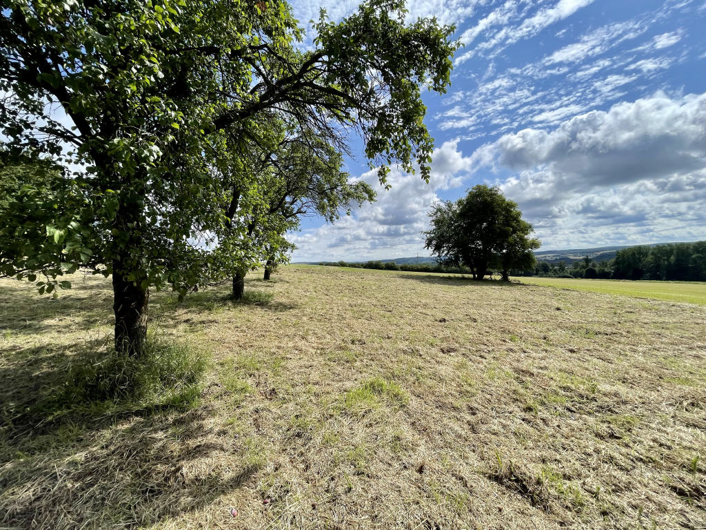 Baugrundstück Fröndenberg