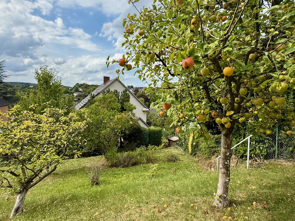 Altbau Hemer (Rückansicht mit Garten)