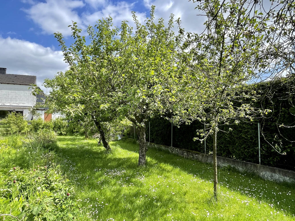 Obstbäume im Garten