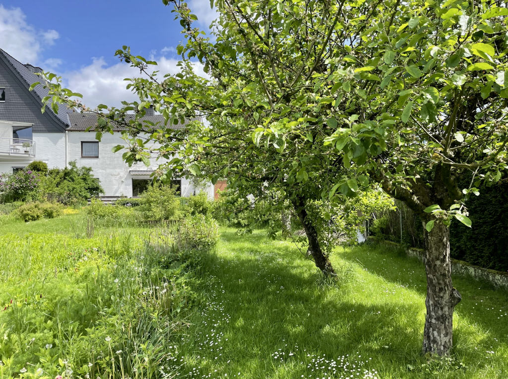 Garten und Rückansicht Anbau