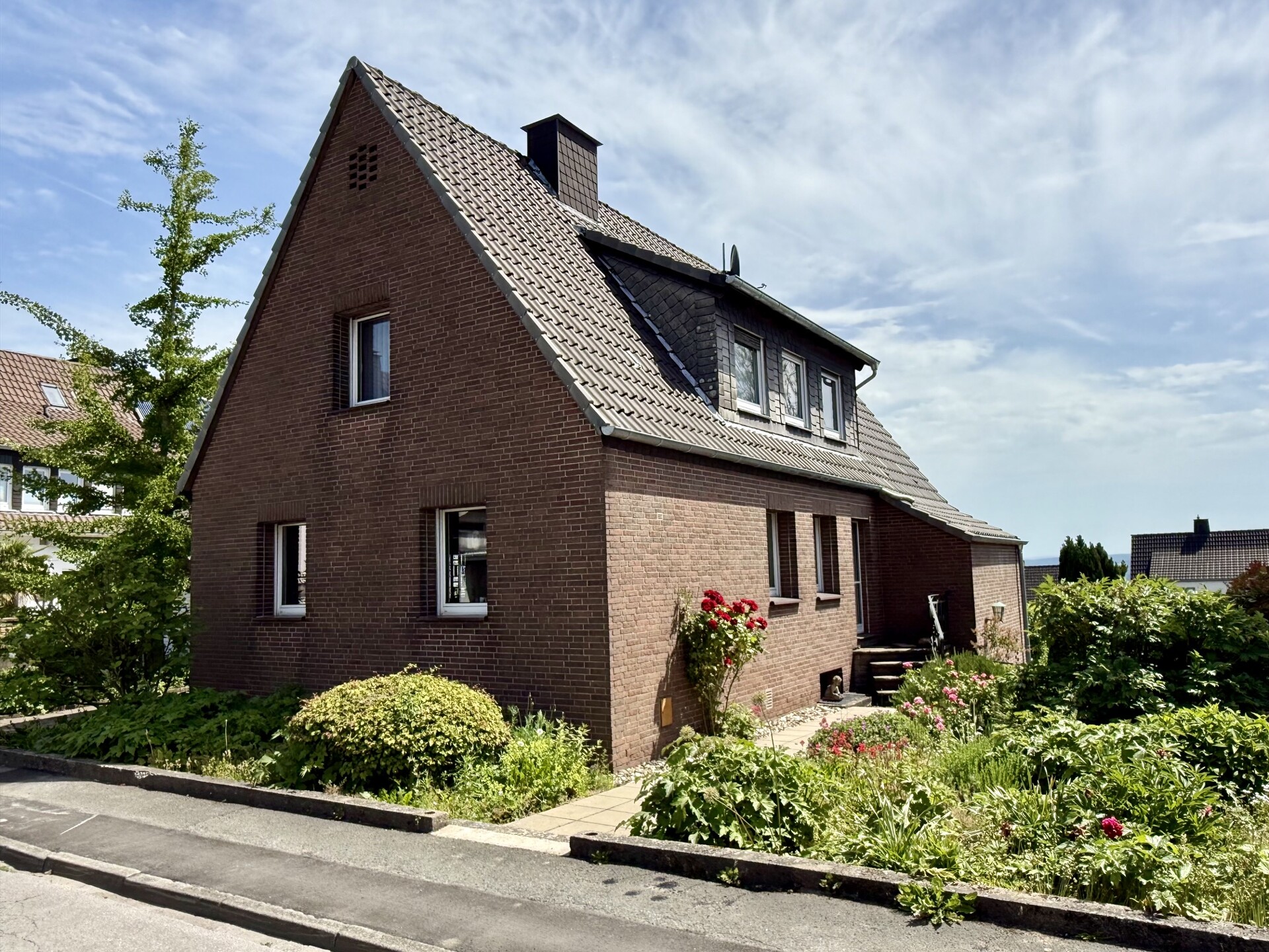 Frontansicht
